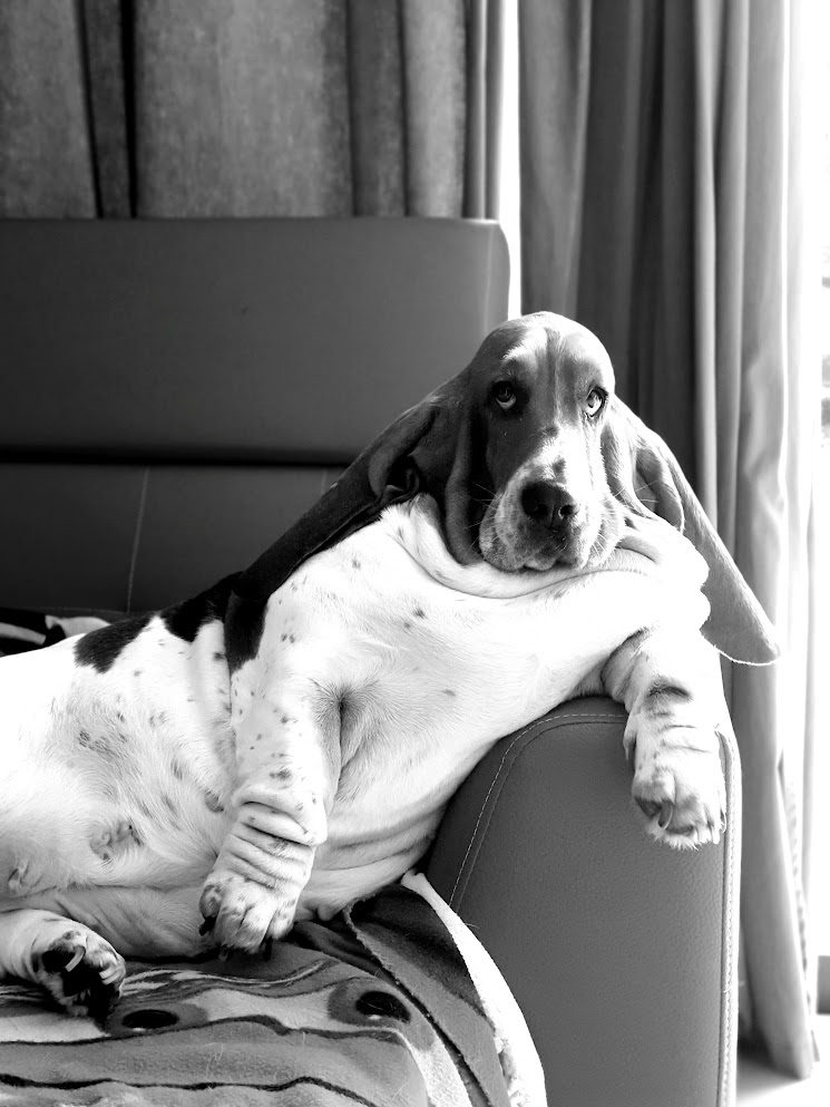 mascotte desmavane maika